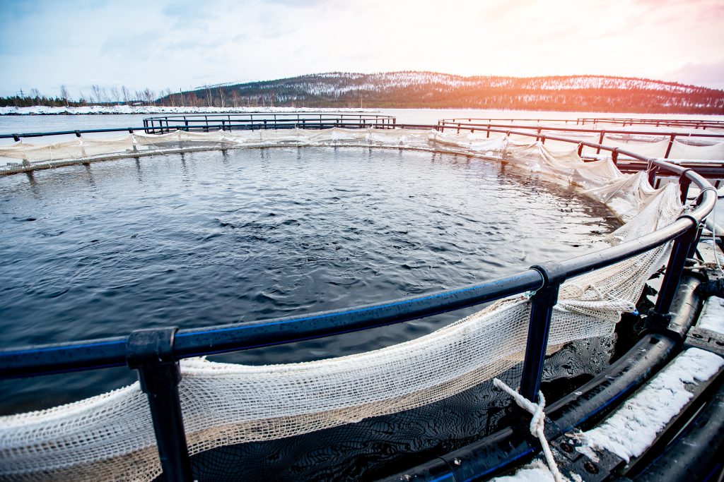 aquaculture-tank-main