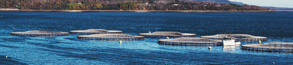 Capture Water Quality Measurement Information