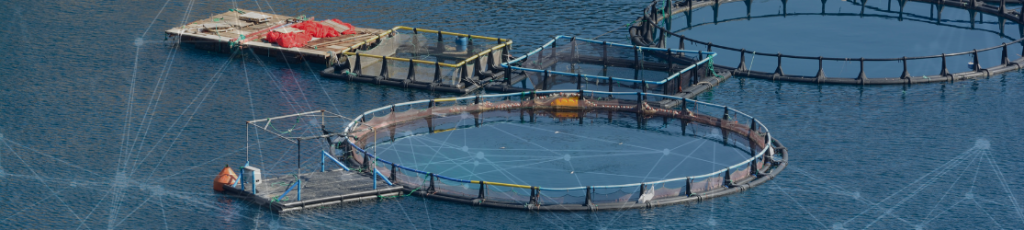 Improving Disease Prediction in Aquaculture